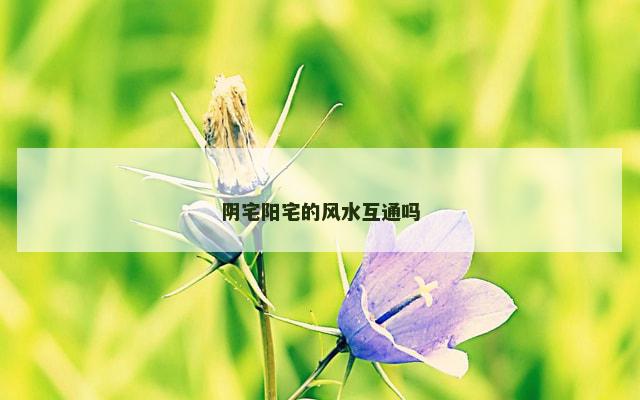 阴宅阳宅的风水互通吗