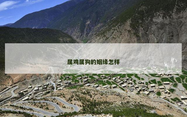 属鸡属狗的姻缘怎样