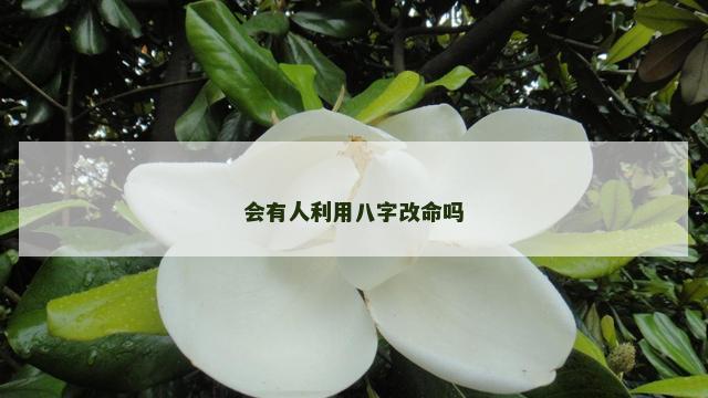 会有人利用八字改命吗