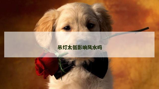 吊灯太低影响风水吗