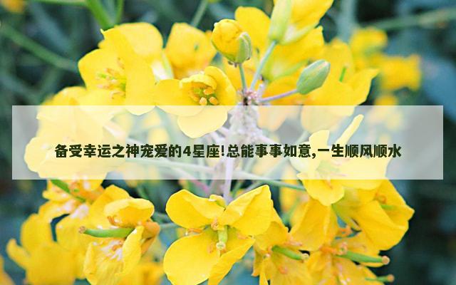备受幸运之神宠爱的4星座!总能事事如意,一生顺风顺水