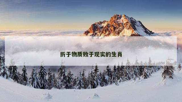 折于物质败于现实的生肖
