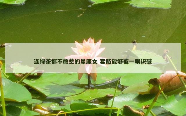 连绿茶都不敢惹的星座女 套路能够被一眼识破