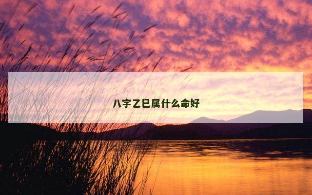八字乙巳属什么命好