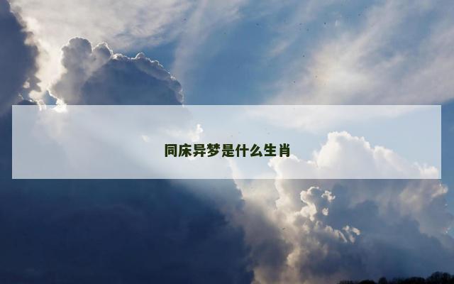 同床异梦是什么生肖