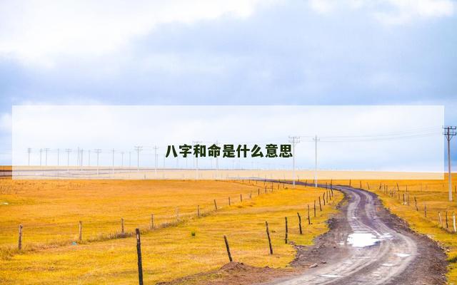 八字和命是什么意思