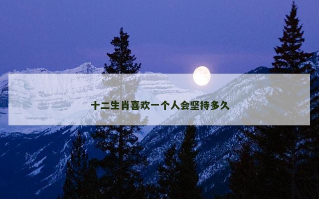 十二生肖喜欢一个人会坚持多久