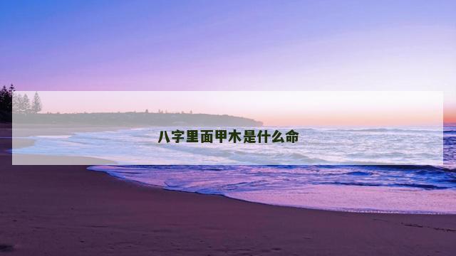 八字里面甲木是什么命