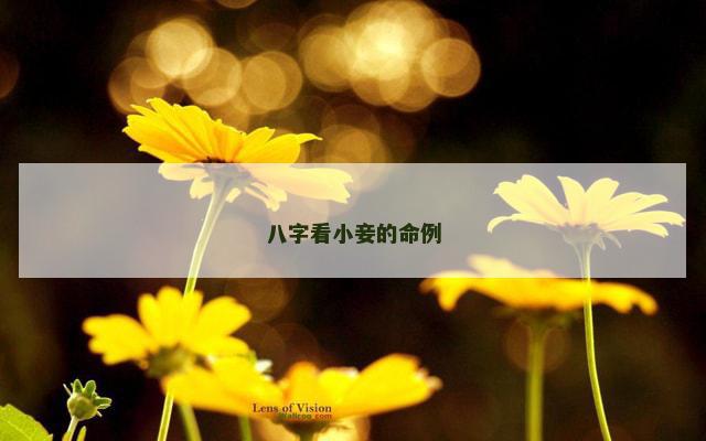 八字看小妾的命例