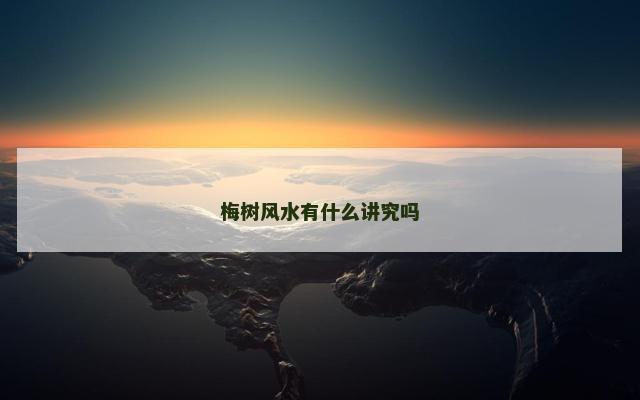 梅树风水有什么讲究吗