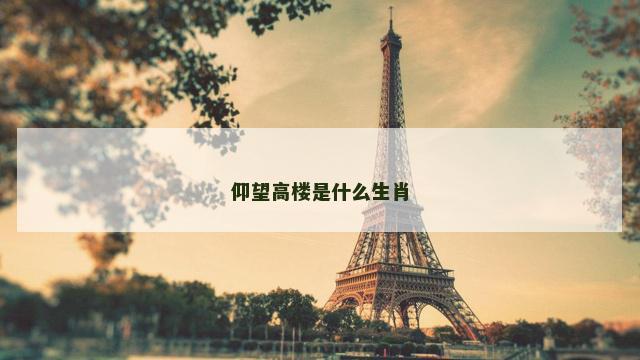 仰望高楼是什么生肖