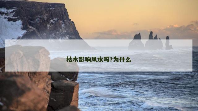 枯木影响风水吗?为什么