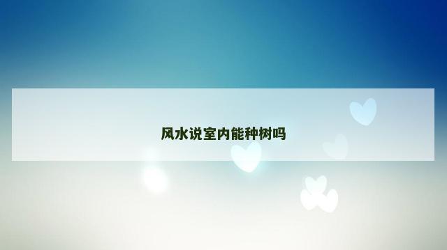风水说室内能种树吗