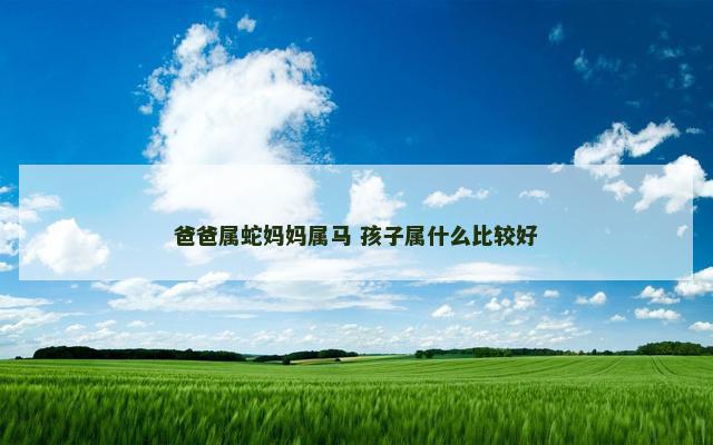 爸爸属蛇妈妈属马 孩子属什么比较好