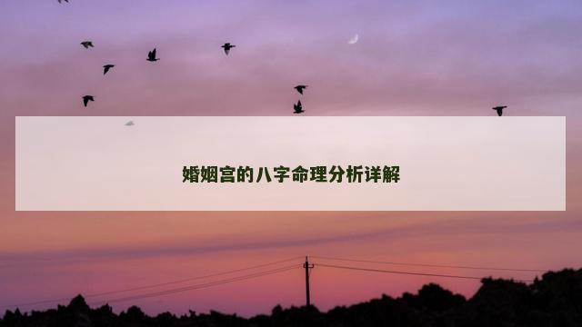 婚姻宫的八字命理分析详解