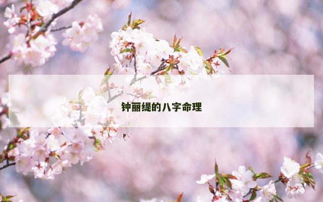 钟丽缇的八字命理
