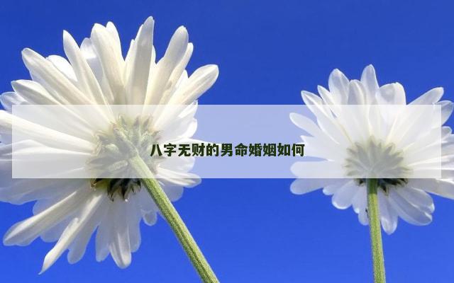 八字无财的男命婚姻如何