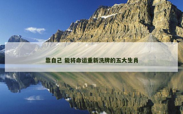 靠自己 能将命运重新洗牌的五大生肖