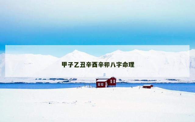 甲子乙丑辛酉辛卯八字命理