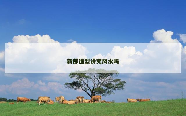 新郎造型讲究风水吗