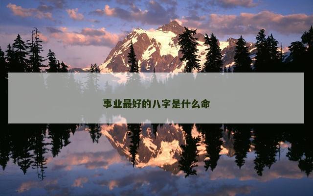 事业最好的八字是什么命