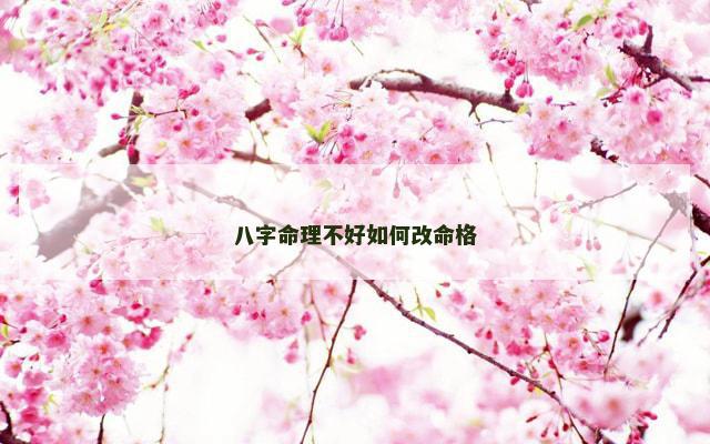八字命理不好如何改命格