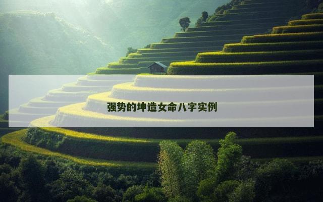 强势的坤造女命八字实例