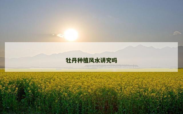 牡丹种植风水讲究吗
