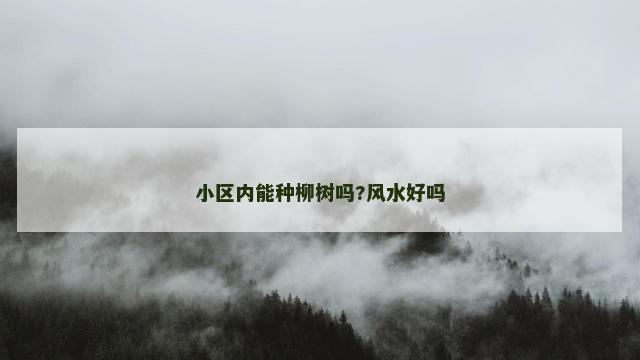 小区内能种柳树吗?风水好吗