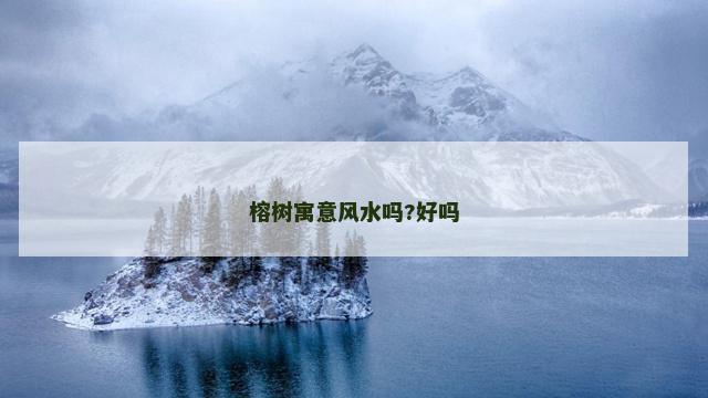 榕树寓意风水吗?好吗