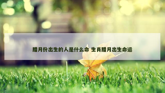 腊月份出生的人是什么命 生肖腊月出生命运