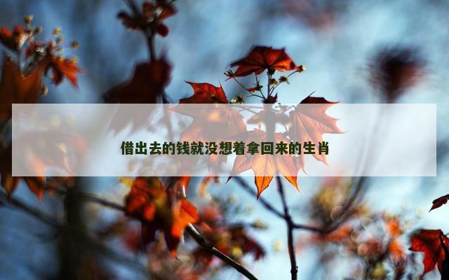 借出去的钱就没想着拿回来的生肖