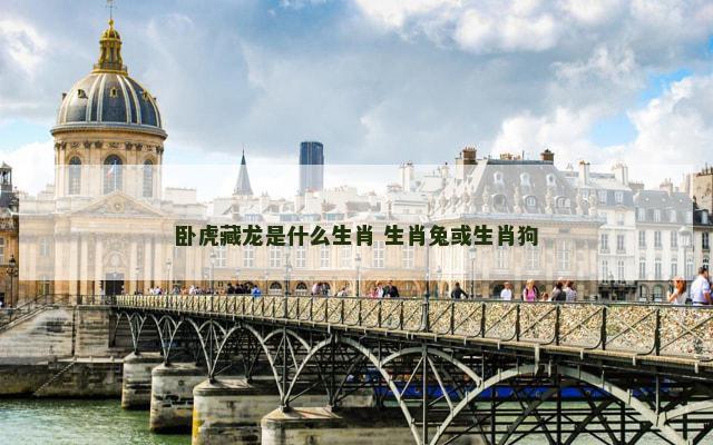 卧虎藏龙是什么生肖 生肖兔或生肖狗