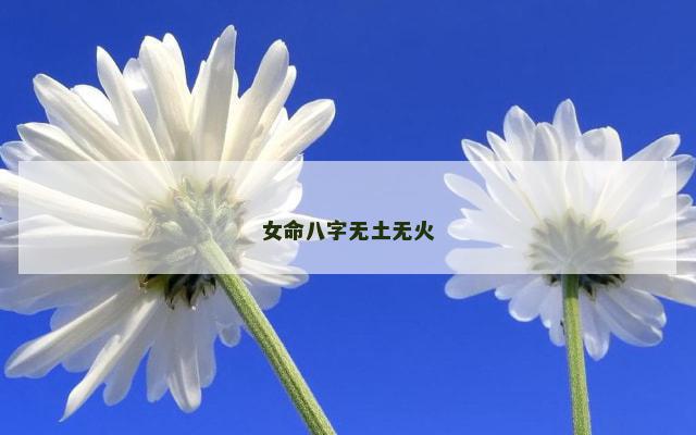 女命八字无土无火