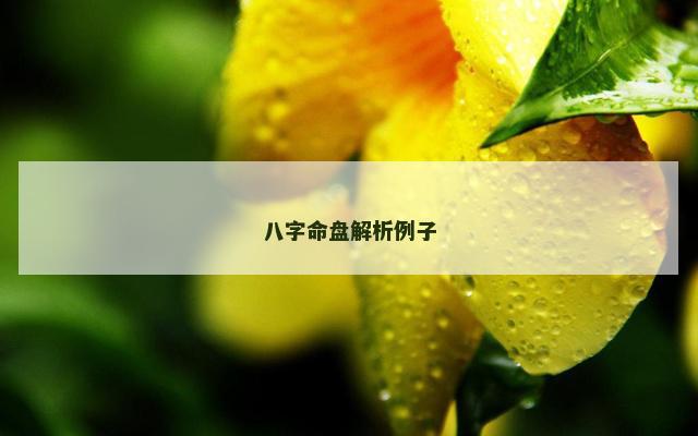 八字命盘解析例子