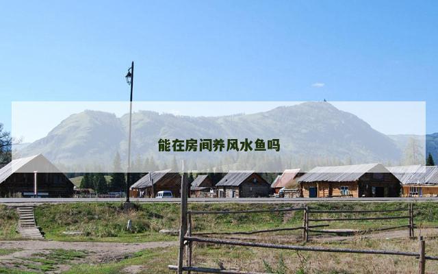 能在房间养风水鱼吗