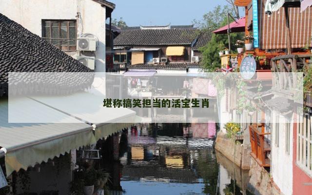 堪称搞笑担当的活宝生肖