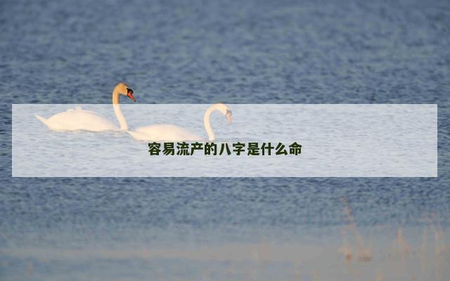 容易流产的八字是什么命