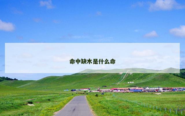 命中缺木是什么命