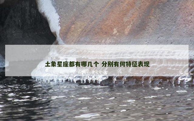 土象星座都有哪几个 分别有何特征表现