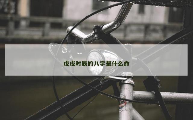 戊戌时辰的八字是什么命