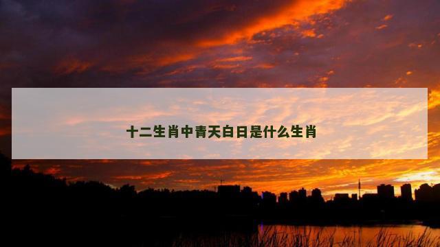 十二生肖中青天白日是什么生肖