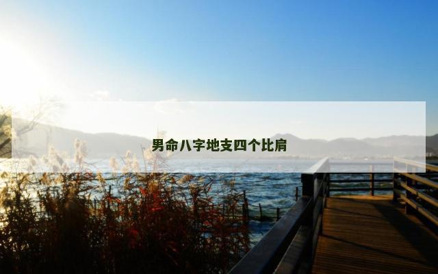 男命八字地支四个比肩