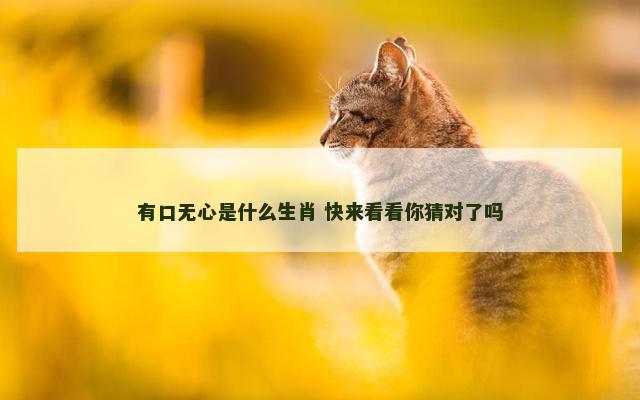 有口无心是什么生肖 快来看看你猜对了吗