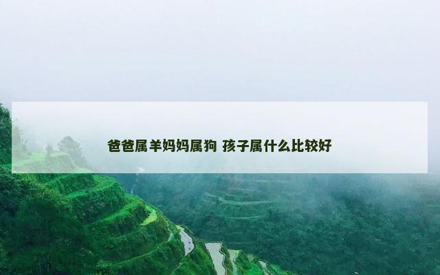 爸爸属羊妈妈属狗 孩子属什么比较好