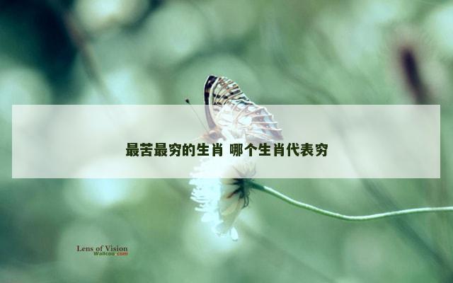 最苦最穷的生肖 哪个生肖代表穷
