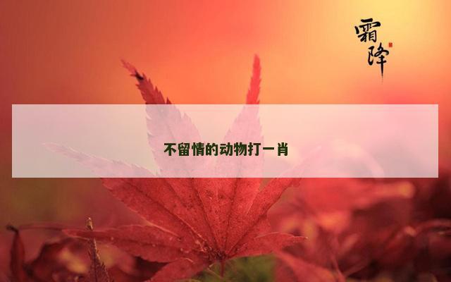 不留情的动物打一肖
