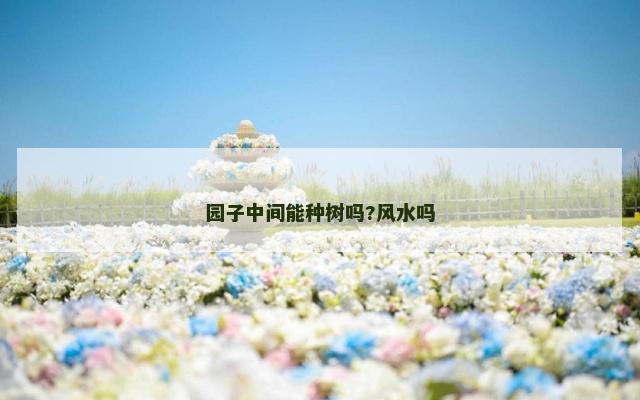 园子中间能种树吗?风水吗