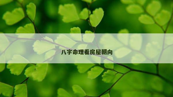 八字命理看房屋朝向