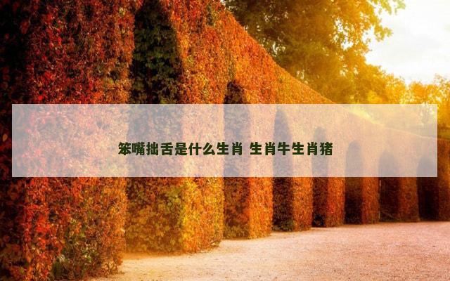 笨嘴拙舌是什么生肖 生肖牛生肖猪